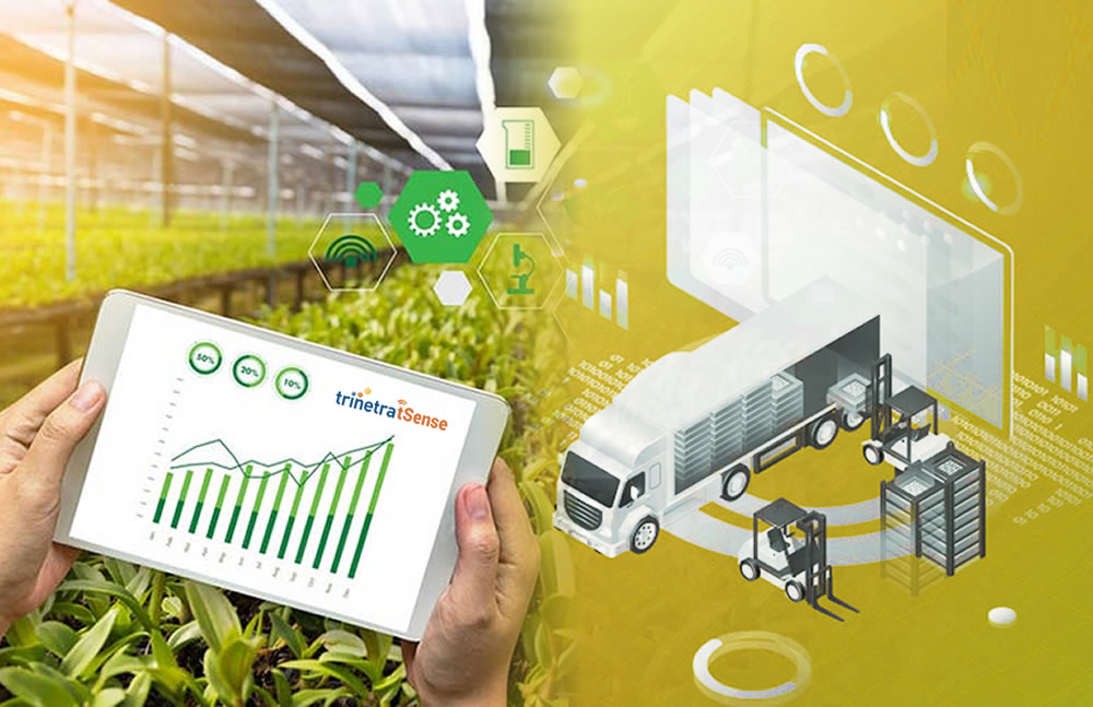 IoT Remote Monitoring System for Transportation of Perishable Foods
